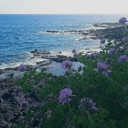 Casitarino Appartement Puerto de Santiago (Tenerife)