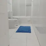 Casitarino